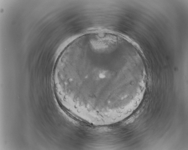 X0000068771239200605262158