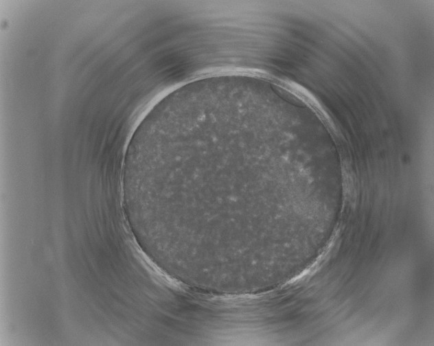 X0000068771244200605262158