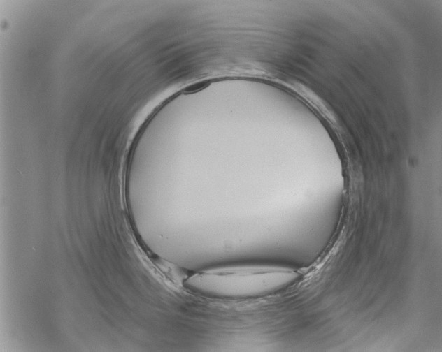 X0000068771246200605262158