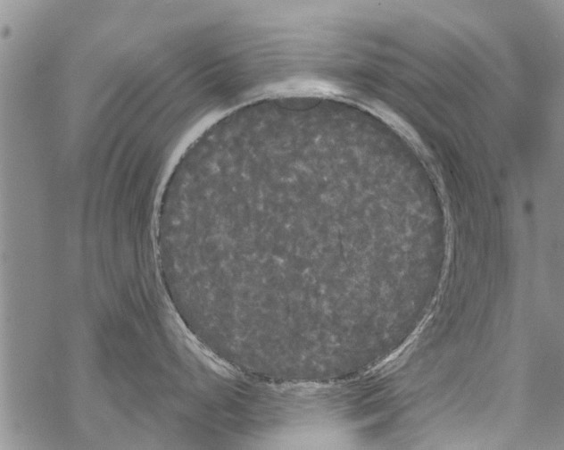 X0000068771248200605262158