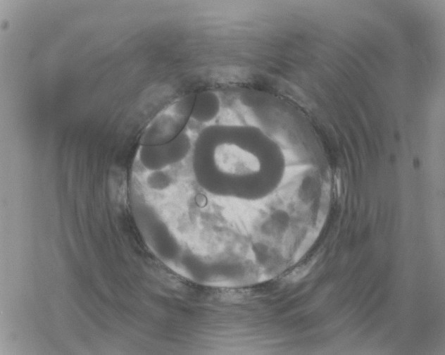 X0000068771251200605262157