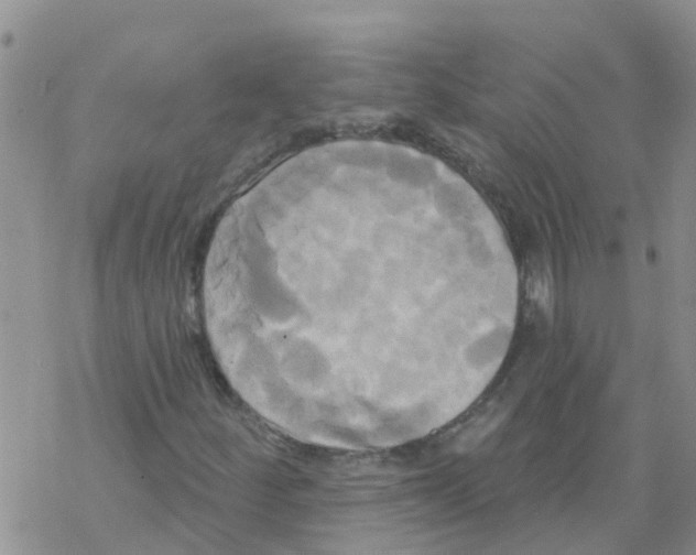 X0000068771252200605262157