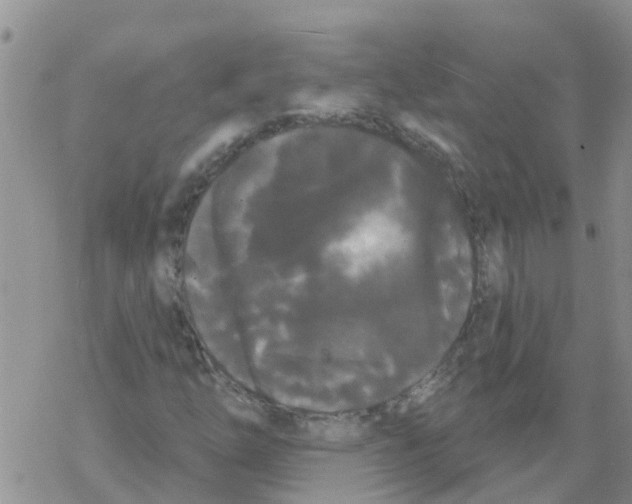 X0000068771254200605262157