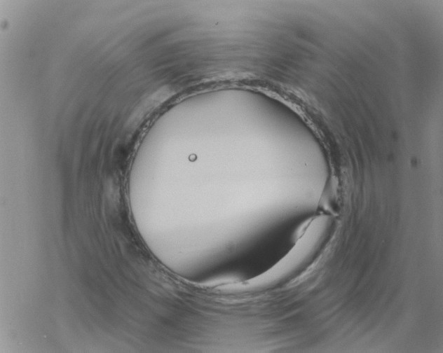 X0000068771257200605262157