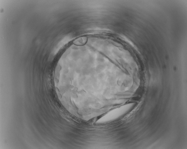 X0000068771259200605262157