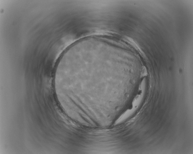 X0000068771260200605262157