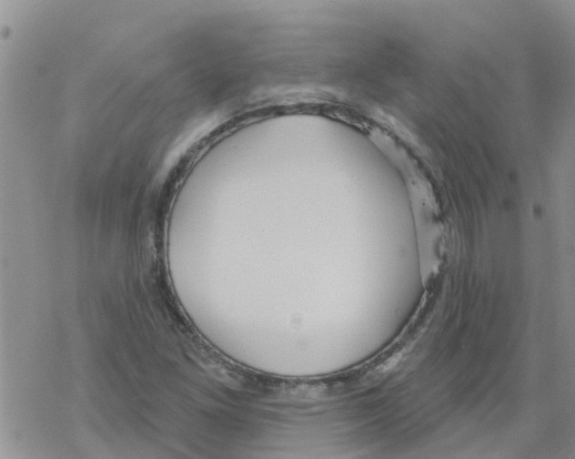 X0000068771261200605262157