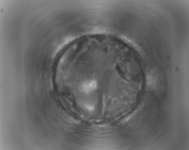 X0000068771262200605262157