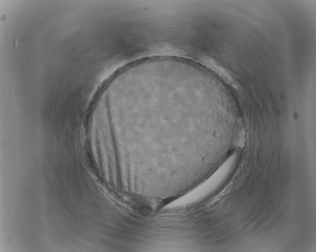 X0000068771264200605262157