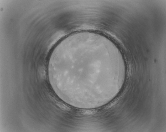 X0000068771266200605262157