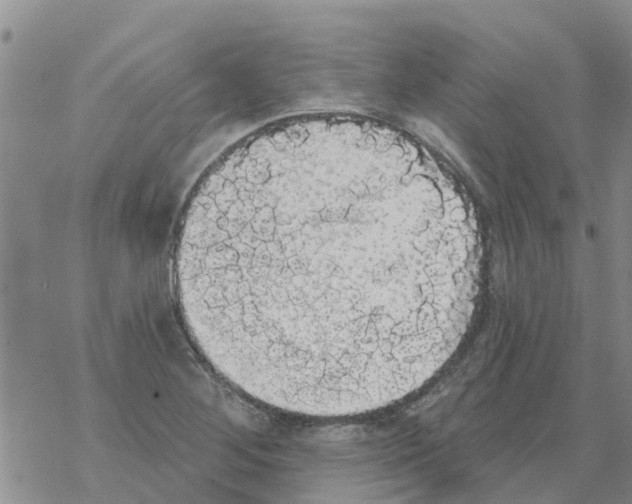 X0000068771268200605262157