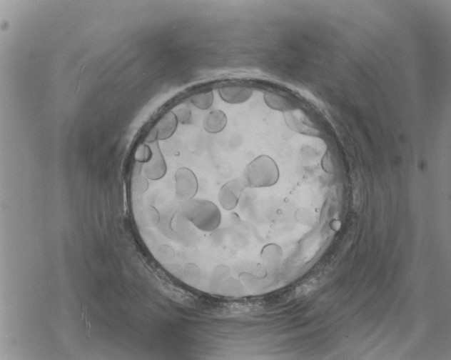 X0000068771271200605262157