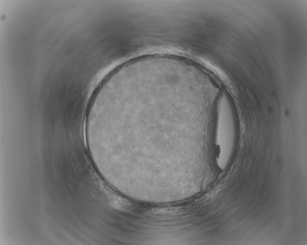 X0000068771272200605262157