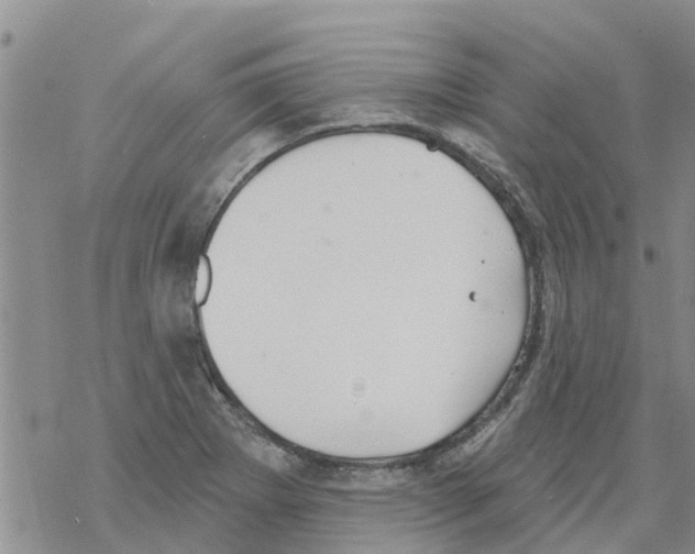 X0000068771273200605262157