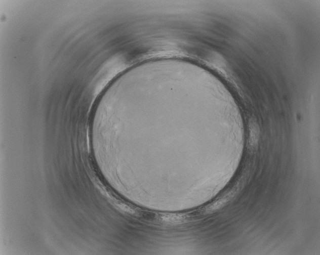 X0000068771274200605262157