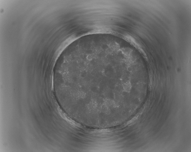 X0000068771276200605262157