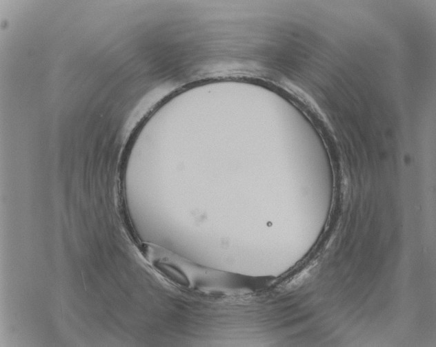 X0000068771277200605262157