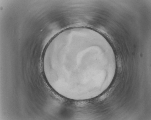 X0000068771278200605262157