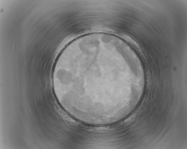 X0000068771280200605262157