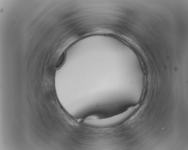 X0000068771281200605262157