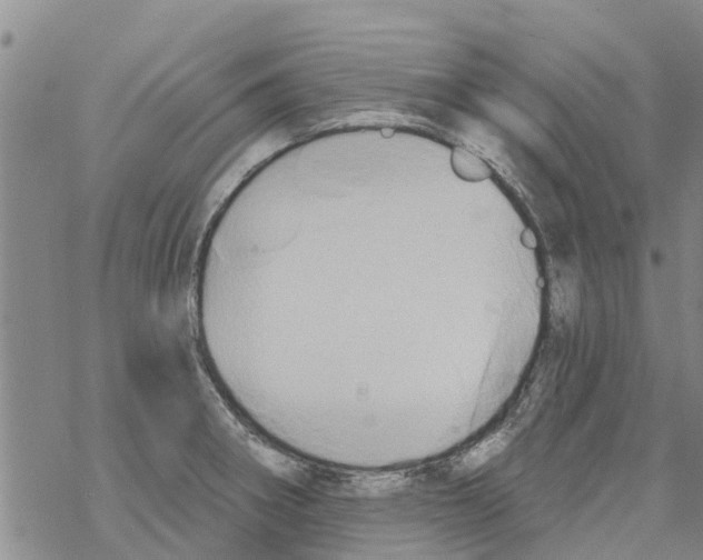 X0000068771282200605262157