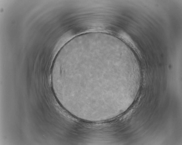 X0000068771284200605262157