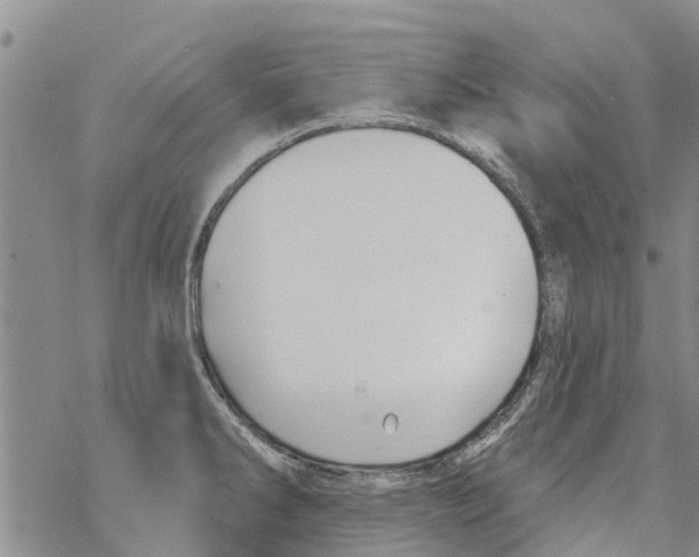 X0000068771286200605262157