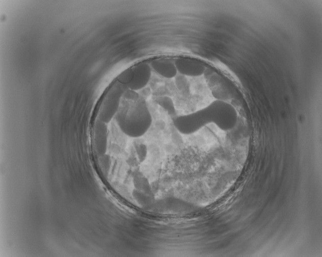 X0000068771287200605262157