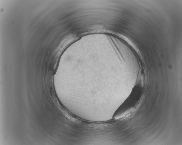 X0000068771289200605262157