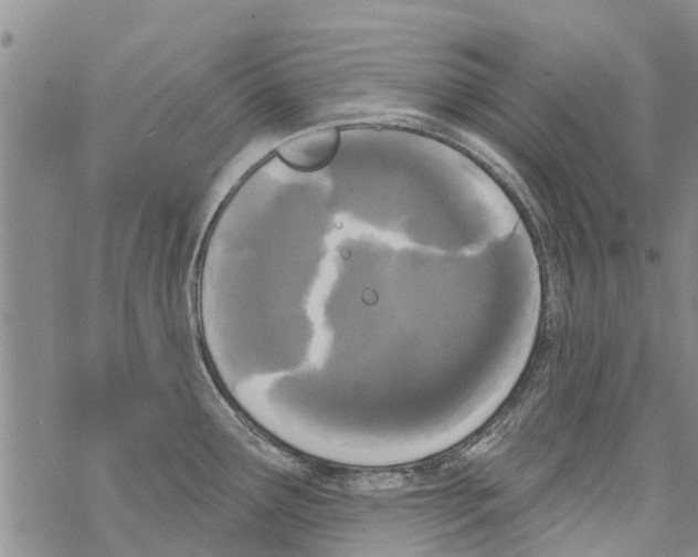 X0000068771291200605262157