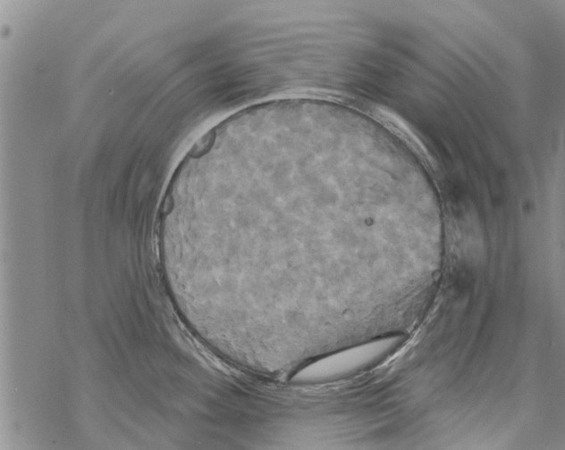 X0000068771292200605262157