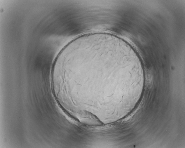 X0000068771294200605262157