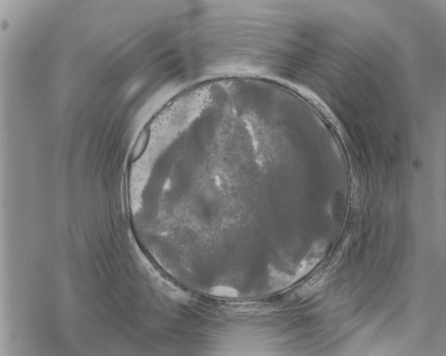 X0000068771295200605262157