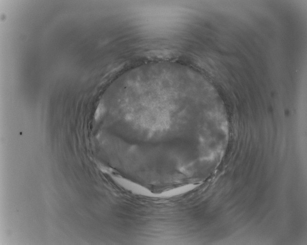 X0000068771297200605262156