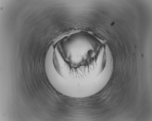 X0000068771298200605262156