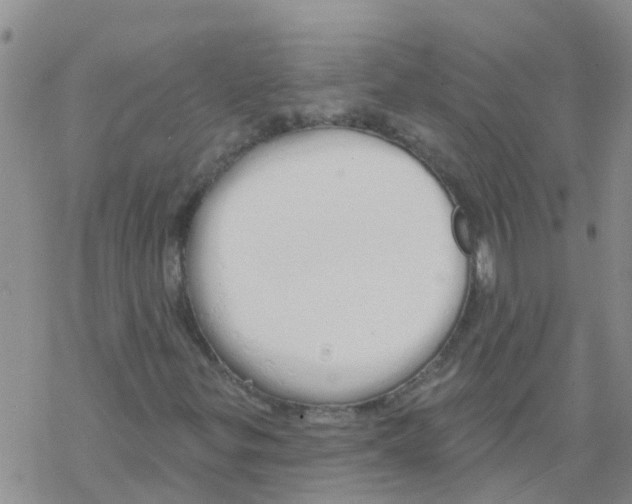 X0000068771299200605262156