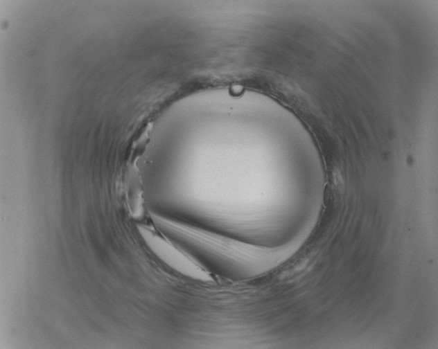 X0000068771300200605262156