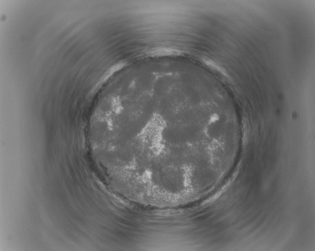 X0000068771305200605262156