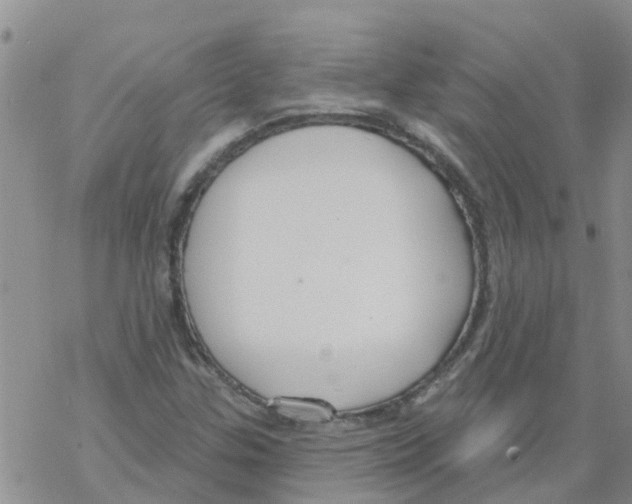 X0000068771307200605262156