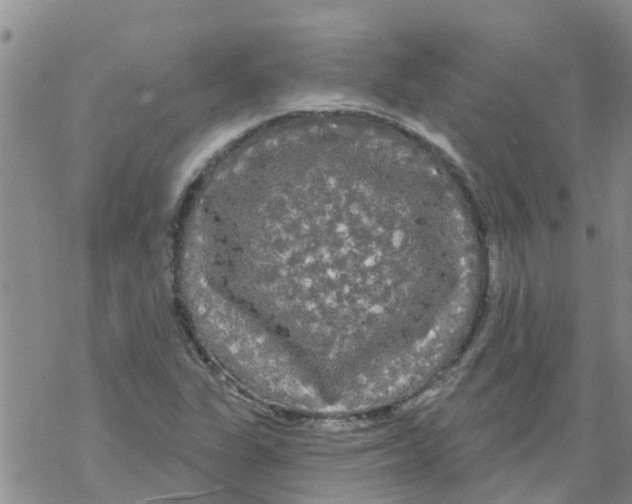 X0000068771311200605262156