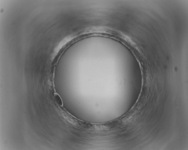 X0000068771312200605262156