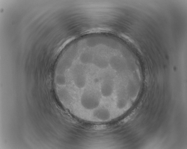 X0000068771313200605262156