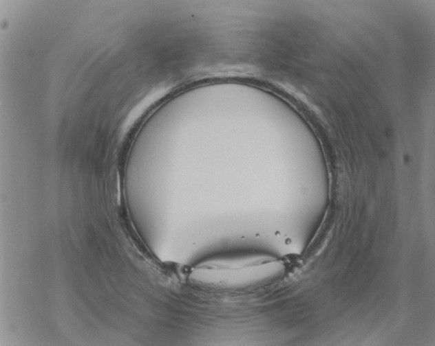 X0000068771317200605262156