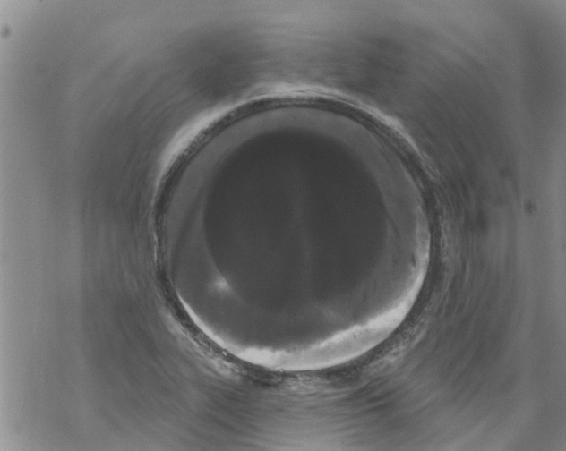 X0000068771319200605262156