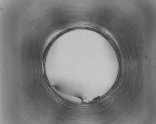 X0000068771320200605262156