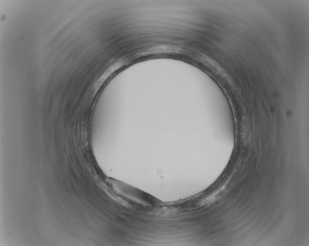 X0000068771321200605262156