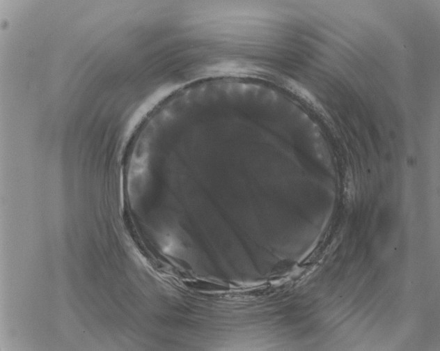 X0000068771323200605262156