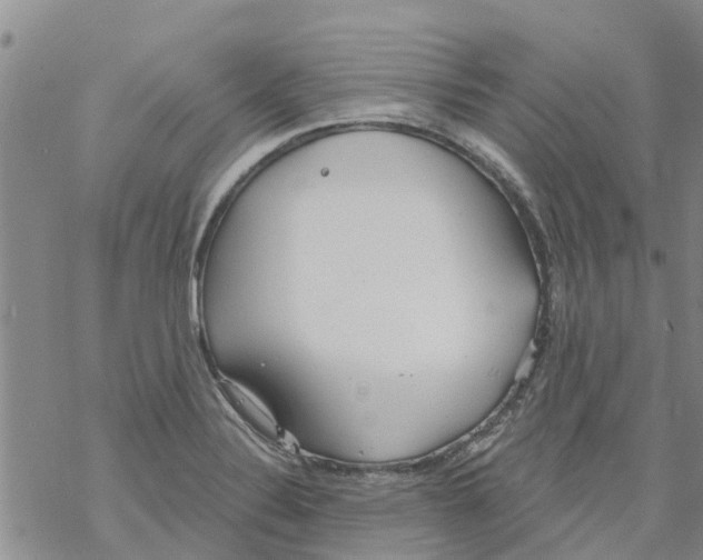 X0000068771324200605262156