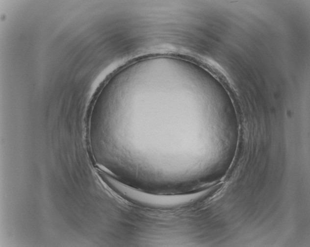 X0000068771326200605262156