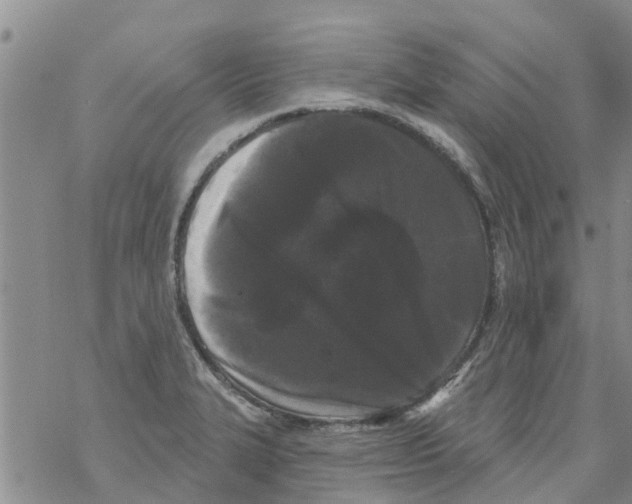 X0000068771327200605262156